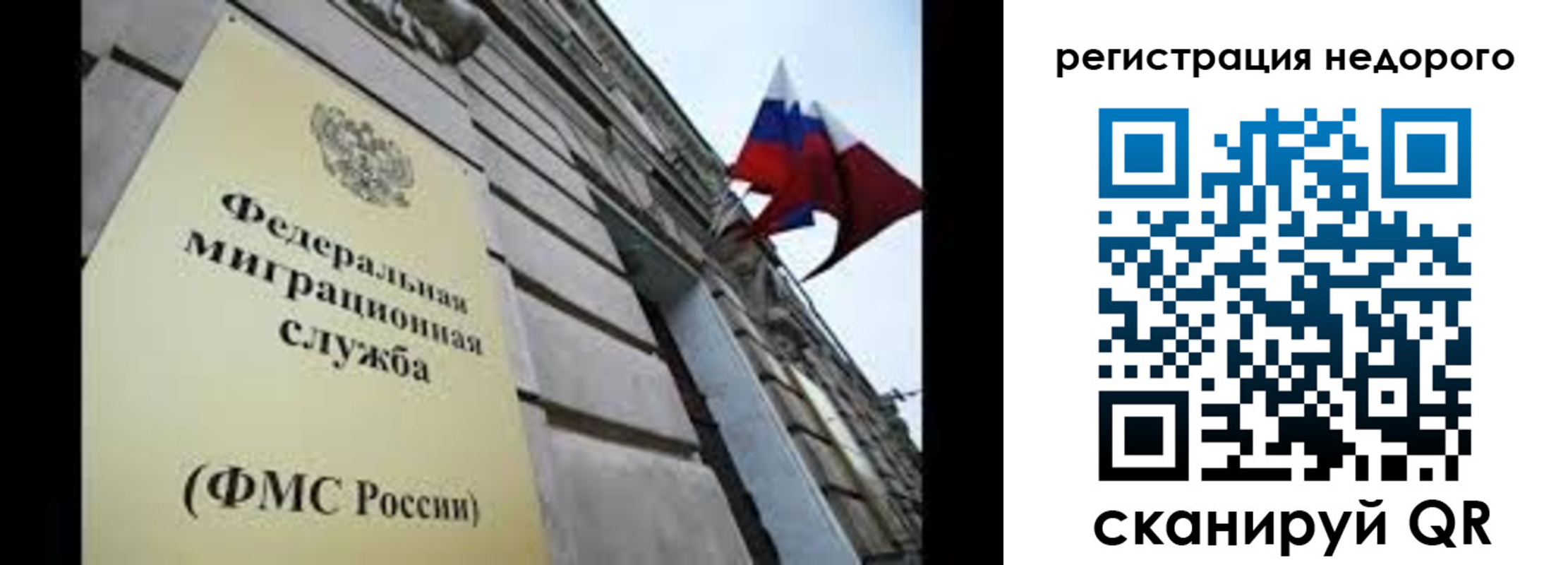 прописка поиск в Ртищево